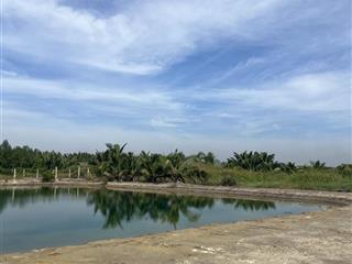 Bán đất 1983m2 tại rừng sác, bình khánh, cần giờ, 12,898 tỷ