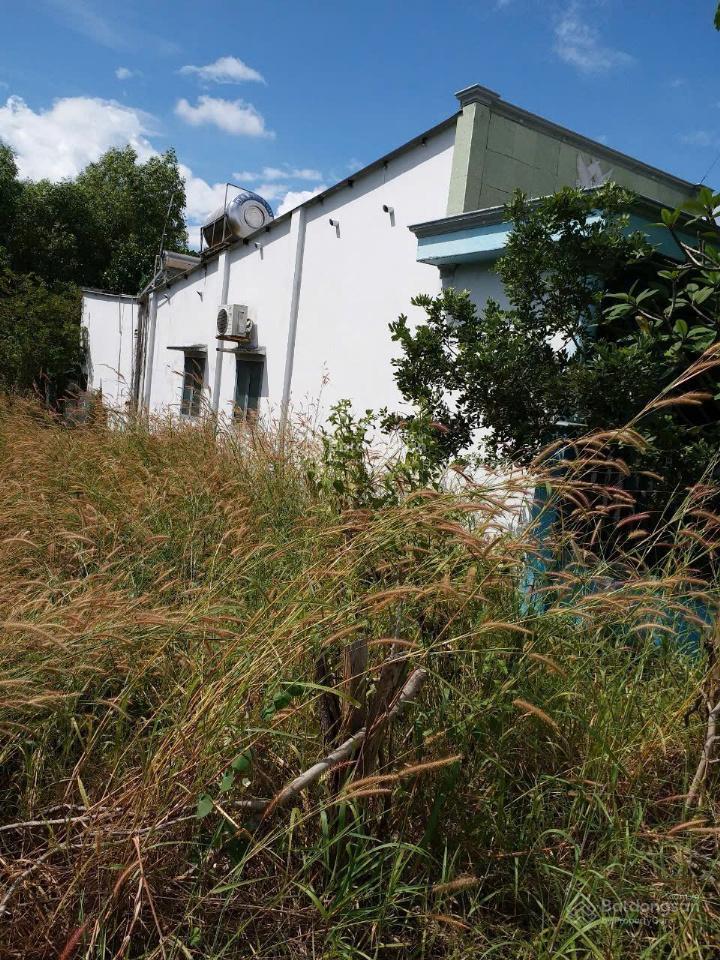 Bán nhà tại tân hòa, phú mỹ, bà rịa, vũng tàu. cần bán gấp.  0909 501 *** anh trung