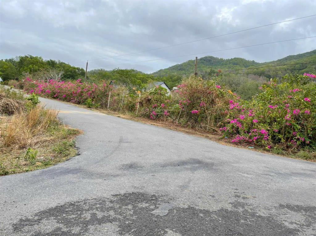 Bán đất tóc tiên, phú mỹ, bà rịa vũng tàu.  0909 501 *** anh trung