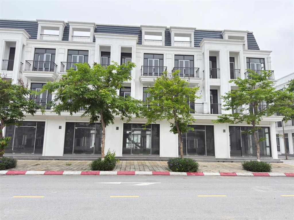 Bán 2 căn đơn/song lập hud mê linh trục đường 24m vị trí đẹp hiếm giá tốt chính chủ 0961 863 ***