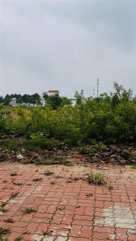 Bán đất giá cực chất 175 tỷ, 5000 m² tại võ thị sáu, long điền, bà rịa vũng tàu
