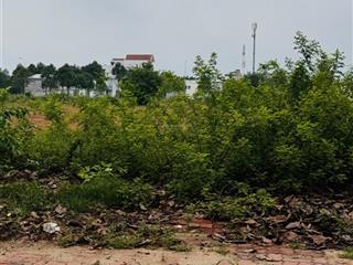 Bán đất giá cực chất 175 tỷ, 5000 m² tại võ thị sáu, long điền, bà rịa vũng tàu
