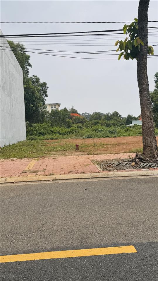 Bán đất giá cực chất 175 tỷ, 5000 m² tại võ thị sáu, long điền, bà rịa vũng tàu