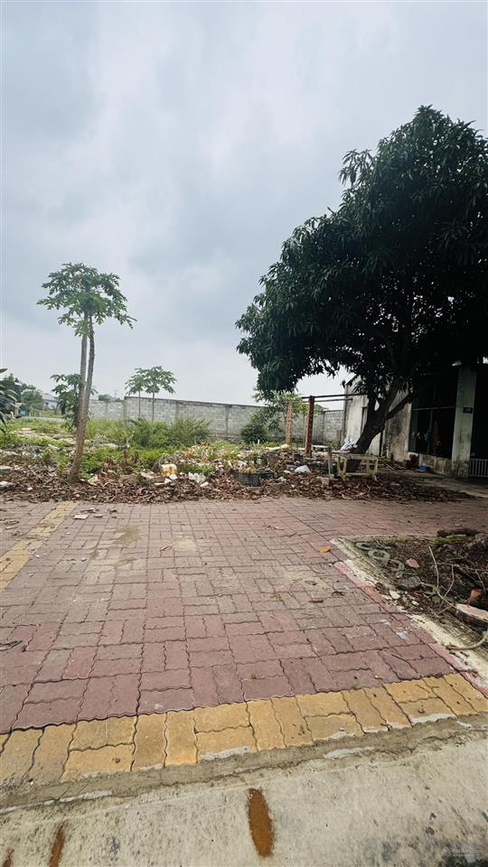 Bán đất giá cực chất 175 tỷ, 5000 m² tại võ thị sáu, long điền, bà rịa vũng tàu