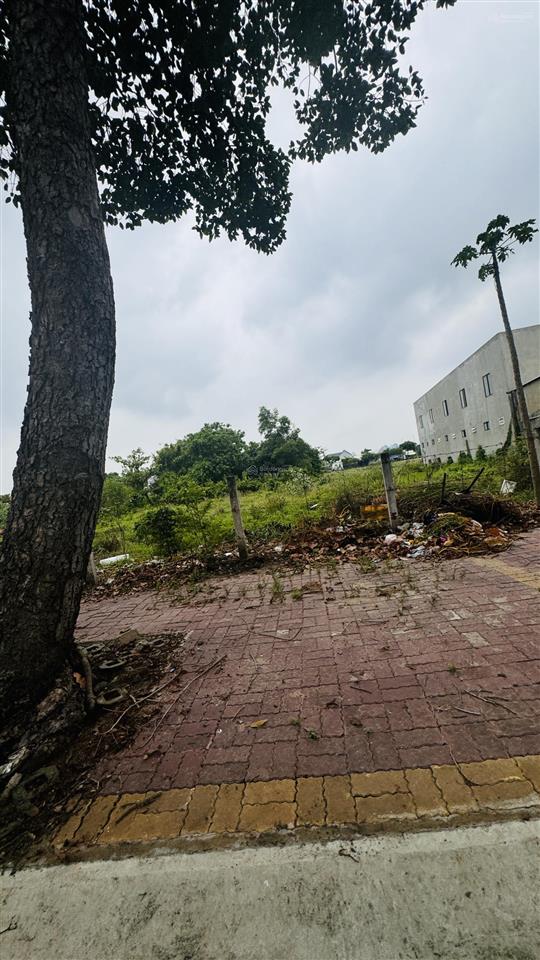 Bán đất giá cực chất 175 tỷ, 5000 m² tại võ thị sáu, long điền, bà rịa vũng tàu