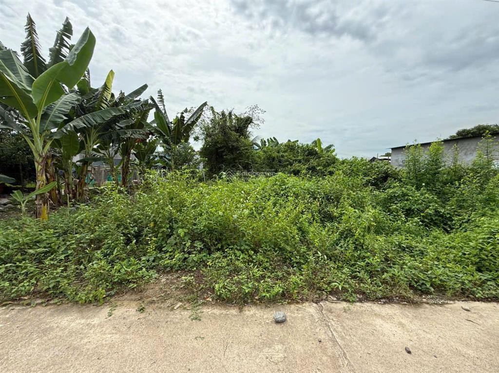 Cần bán đất tại thôn 2 diên lâm (diên đồng cũ), diên khánh, khánh hòa.  0795 179 ***