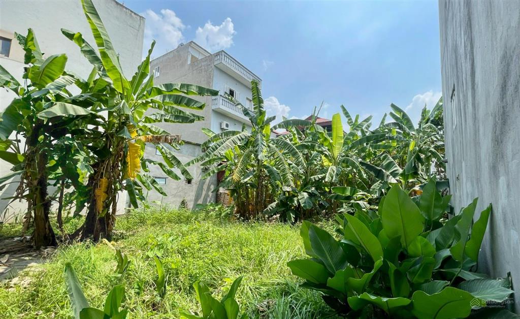 55 triệu/m², đất đan phượng, cạnh vành đai 4