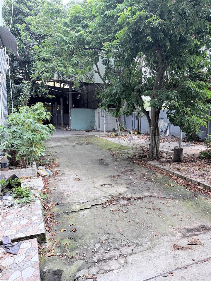 Cho thuê mặt bằng 1.500m (15x100m) mặt tiền hùng vương phước an, đồng nai
