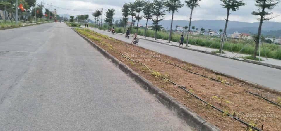 Bán đất biệt thự 342m2 khu đô thị quảng hồng, nam sơn, cẩm sơn, cẩm phả, quảng ninh