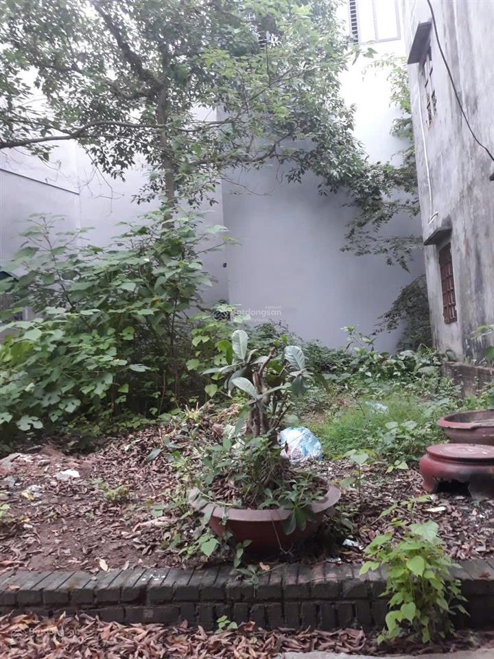 Đất nằm sát khu đô thị hud. ô tô đỗ cửa đường thông tứ phía.