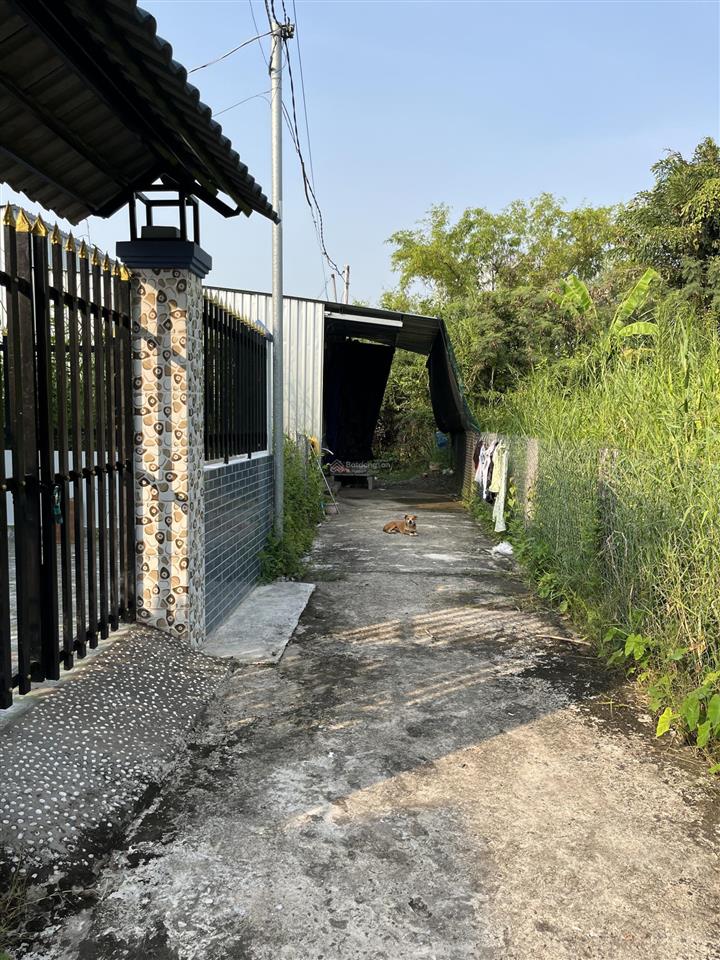 Nhà cấp 4 giá rẻ 78m2 2 phòng ngủ mỹ lộc, long an