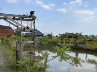 Bán đất nghỉ dưỡng 1346m2 tại bình chánh đường xe tải có cây ăn trái và ao cá