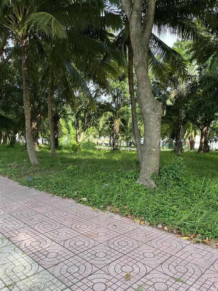 Bán đất biệt thự khu đô thị năm sao 297,5m2