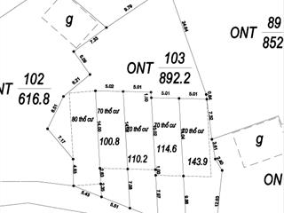 Bán đất tại đường tỉnh lộ 295, xã tiên lục, huyện lạng giang, 550 triệu, 100 m², giá ưu đãi