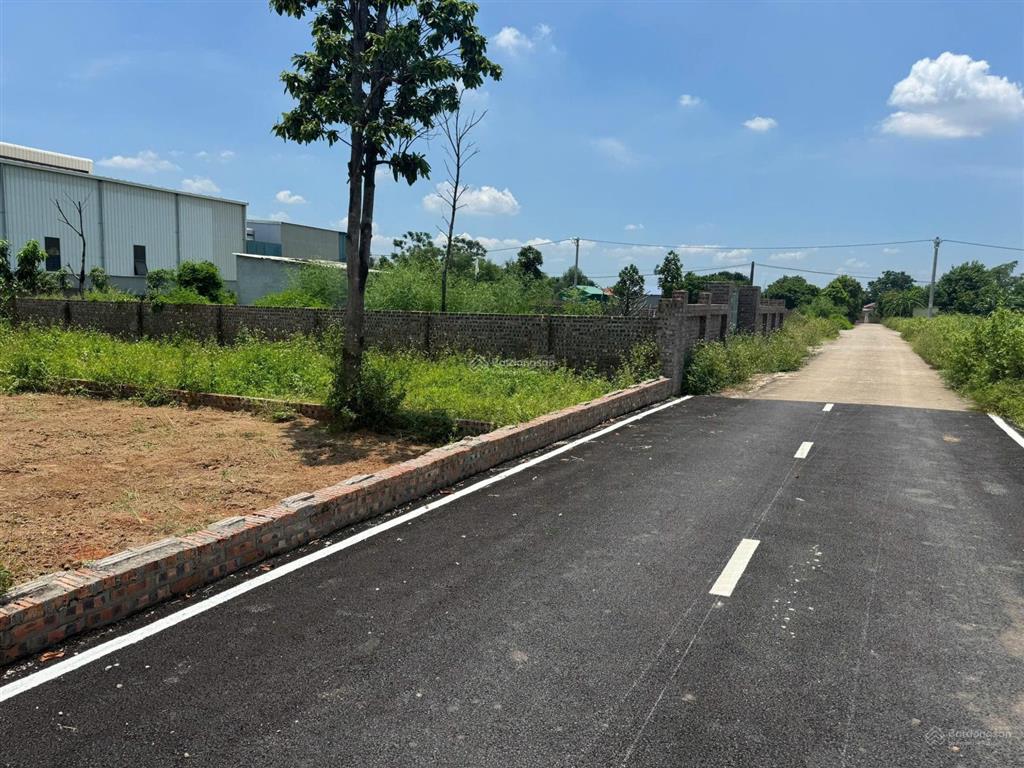 Bán đất thái lai, minh trí, sóc sơn, hà nội, 2 mặt tiền trước sau, 115 m2, giá siêu hời