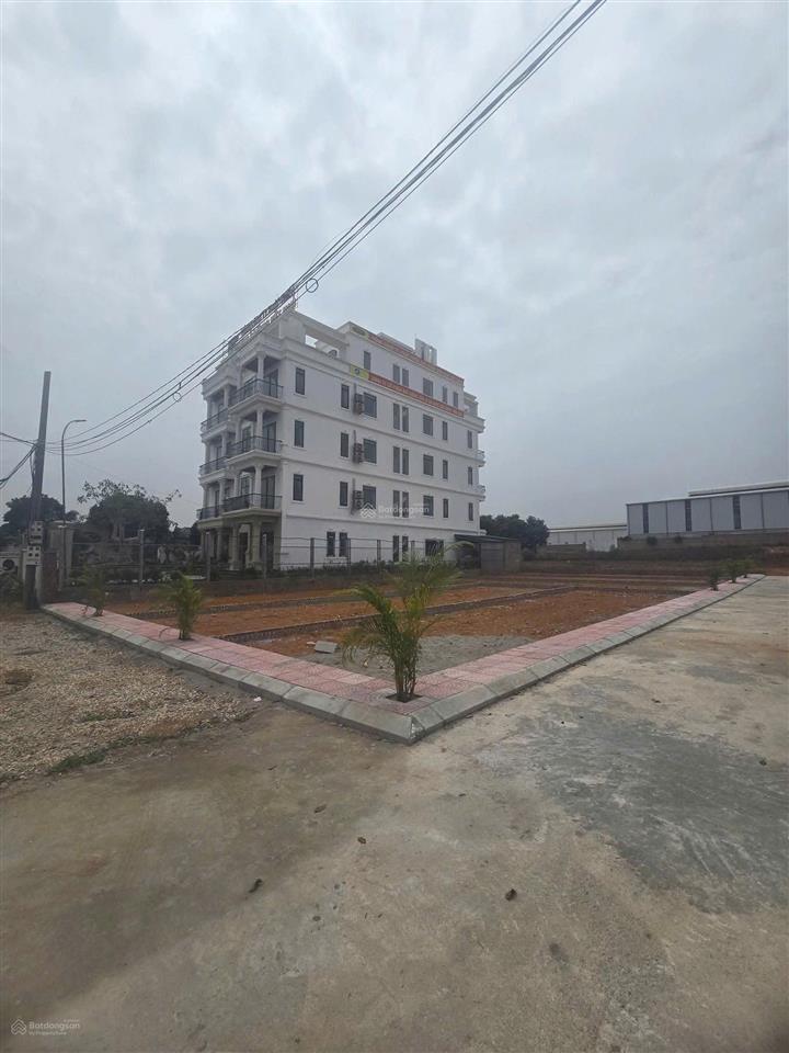 Bán đất tại đường thái lai, xã minh trí, sóc sơn, hà nội, 16,5 triệu / m2, 100 m2 chỉ với uy tín