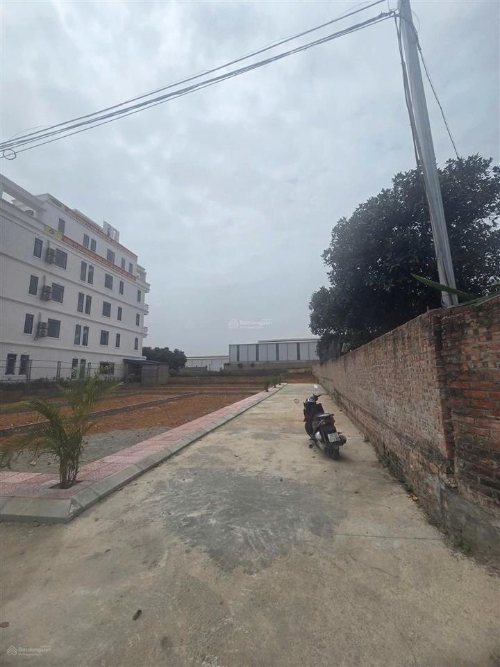 Bán đất tại đường thái lai, xã minh trí, sóc sơn, hà nội, 16,5 triệu / m2, 100 m2 chỉ với uy tín