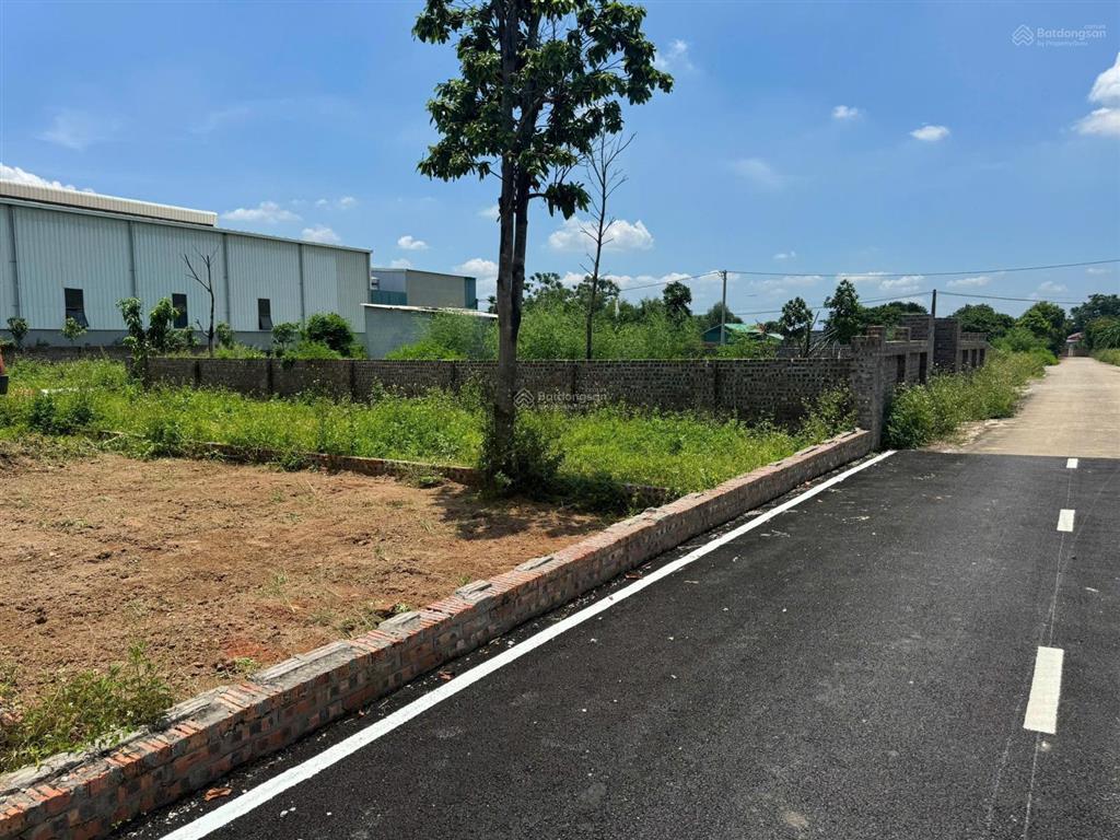 Bán đất thái lai, minh trí, sóc sơn, hà nội, 2 mặt tiền trước sau, 115 m2, giá siêu hời