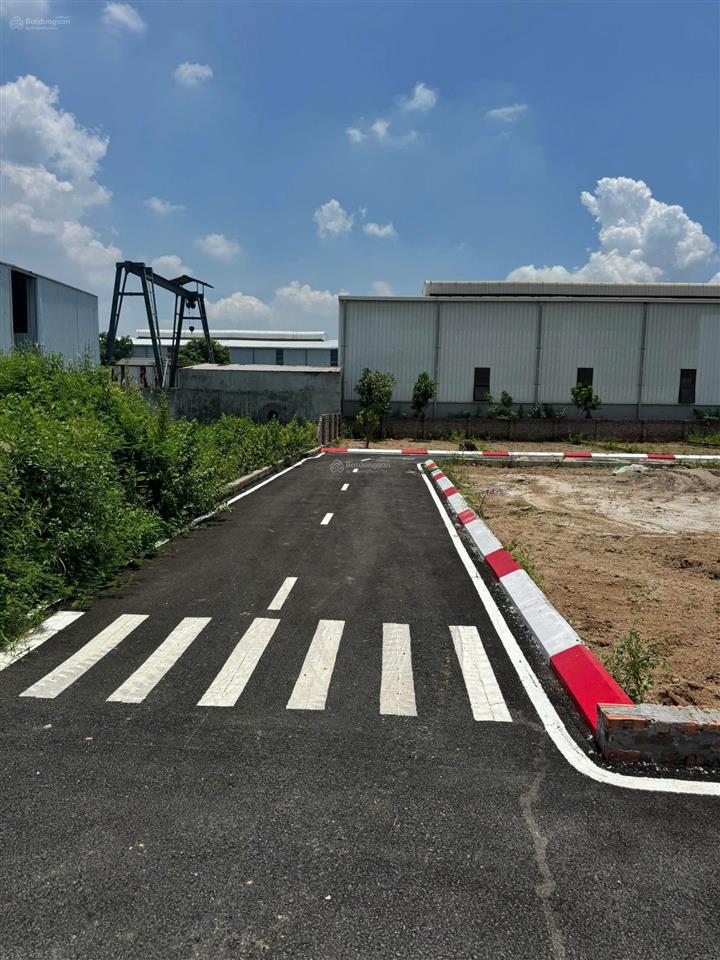 Bán đất thái lai, minh trí, sóc sơn, hà nội, 2 mặt tiền trước sau, 115 m2, giá siêu hời