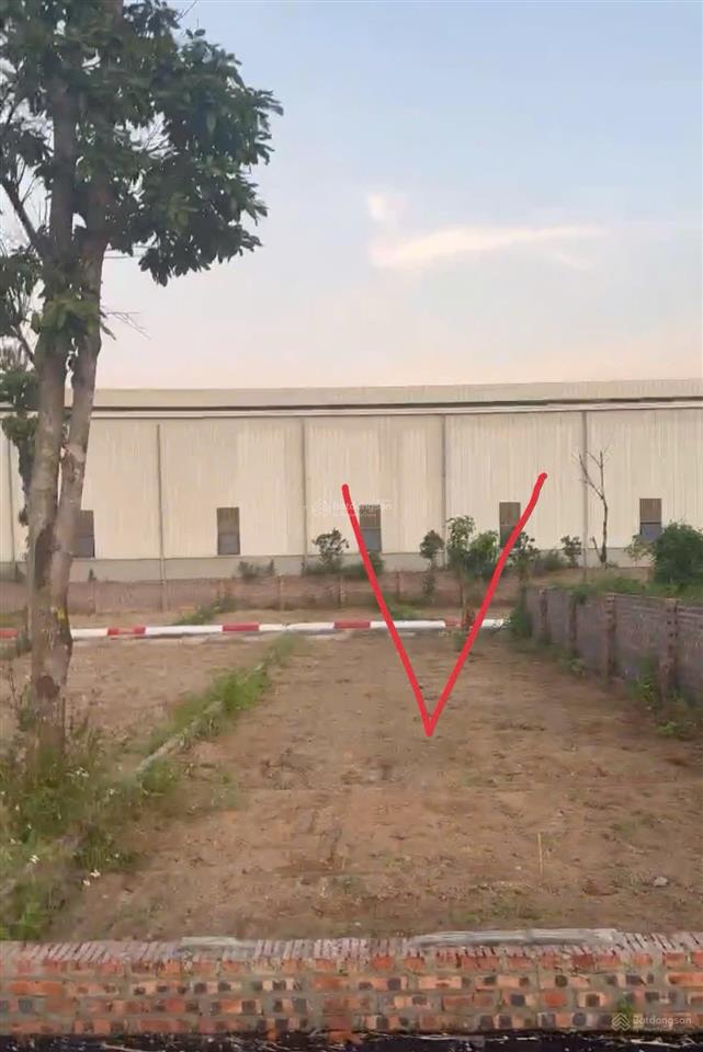 Bán đất thái lai, minh trí, sóc sơn, hà nội, 2 mặt tiền trước sau, 115 m2, giá siêu hời