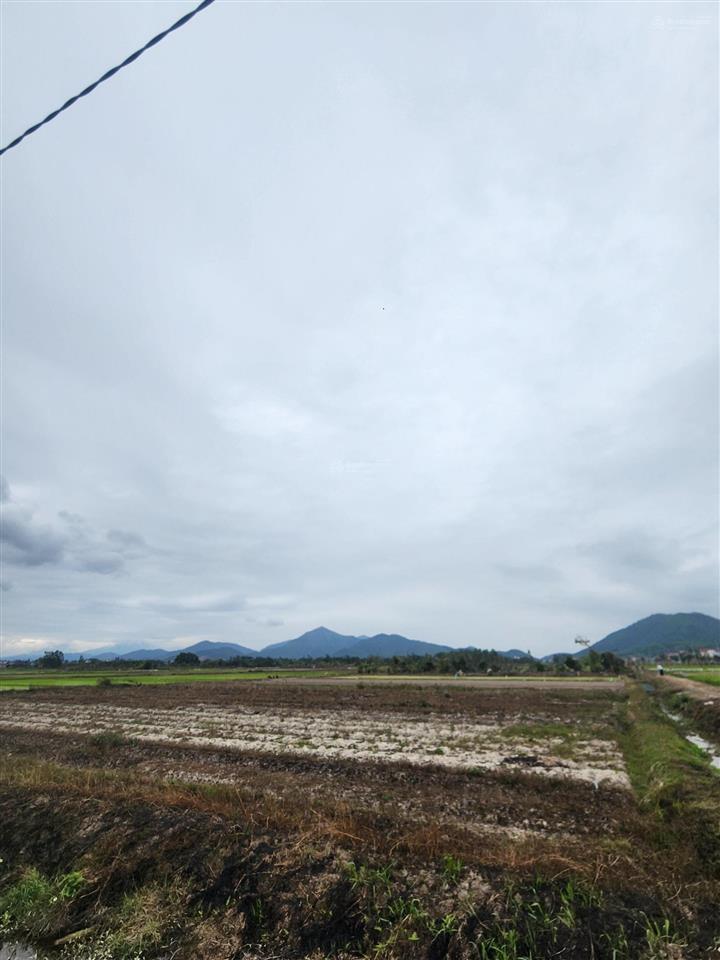 1509m2 đất. vuông vắn như chiếc bánh chưng. tại tân trung chùa  hiền ninh  sóc sơn  hn