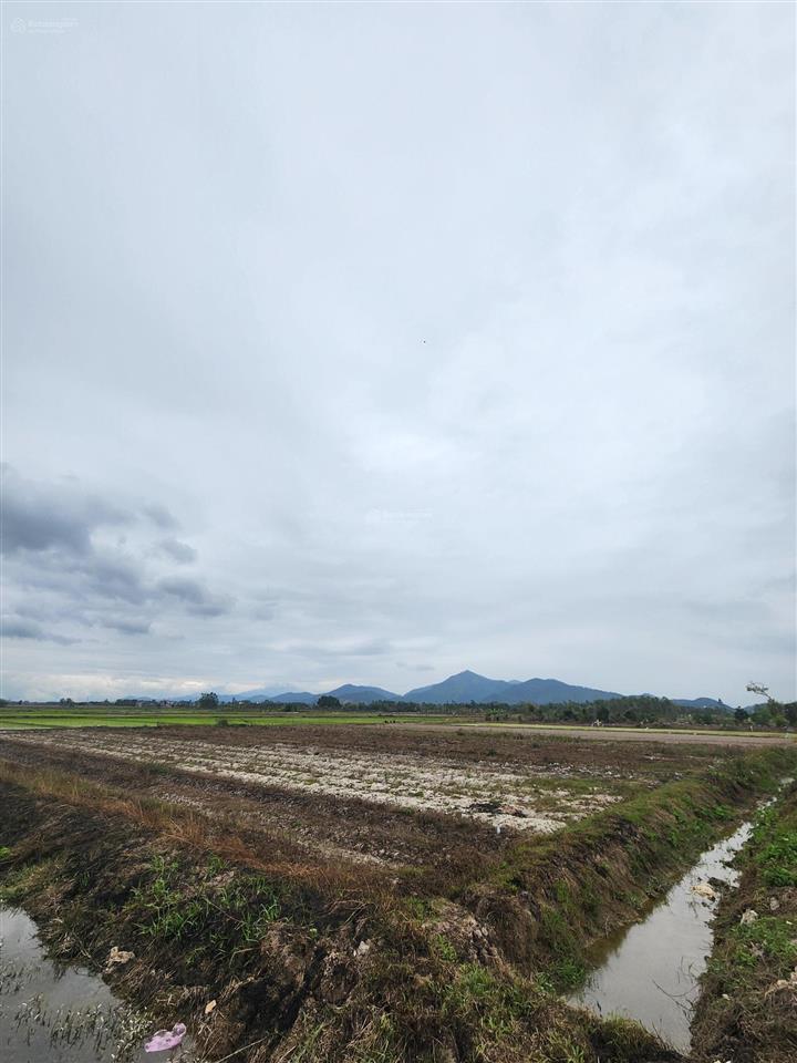 1509m2 đất. vuông vắn như chiếc bánh chưng. tại tân trung chùa  hiền ninh  sóc sơn  hn