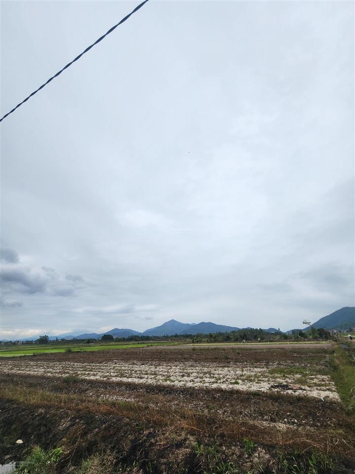 1509m2 đất. vuông vắn như chiếc bánh chưng. tại tân trung chùa  hiền ninh  sóc sơn  hn