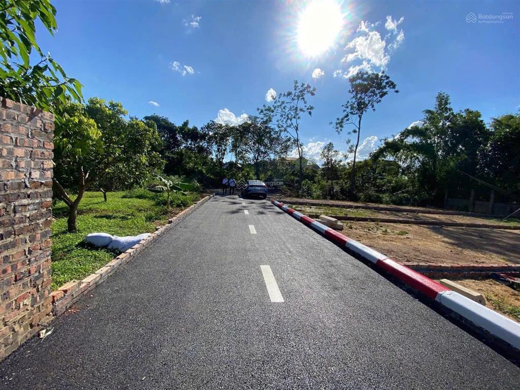 Bán đất nền full thổ cư, 100m2 tại thanh sơn kim anh hà nội
