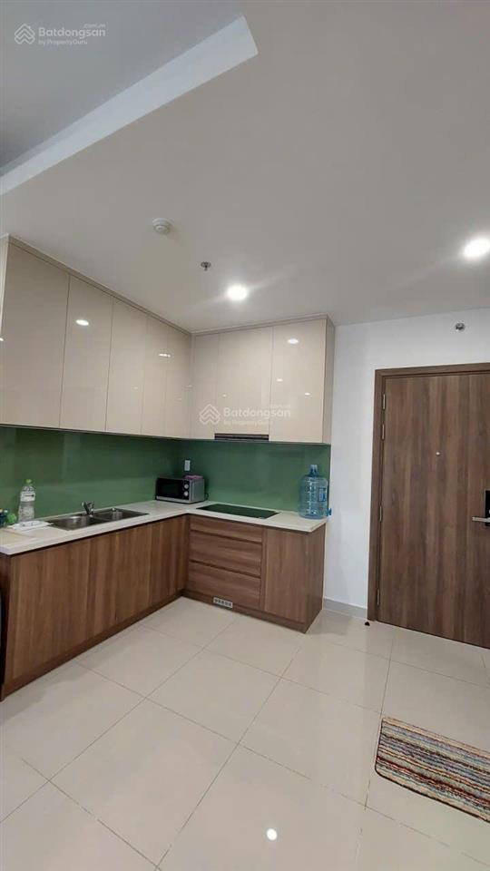 Chính chủ gửi cho thuê căn 1 phòng ngủ view sông tại q7 saigon riverside complex