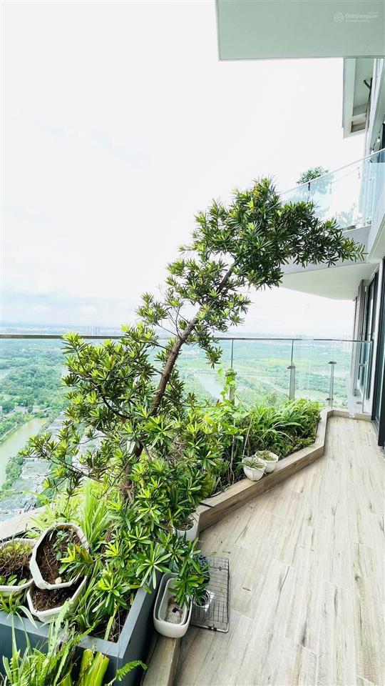 1 căn duy nhất 3pn sân vườn solforest giá chỉ 7,1bp  đừng chỉ xem qua ảnh, hãy đến và xem thực