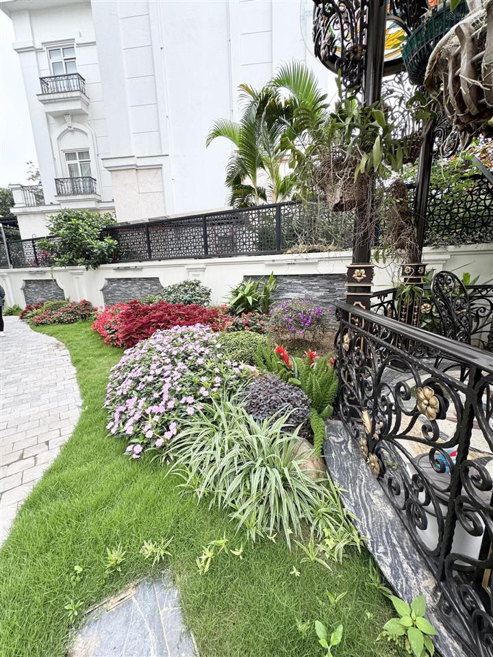 Cho thuê giá 200 tr/1 tháng đơn lập 700m2 vinhomes riverside 0981 839 ***