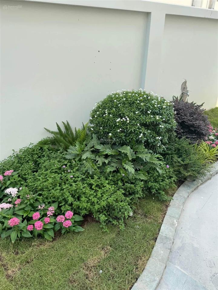 Cho thuê bt vinhomes riverside khu vip (nhà mới 100%) đơn lập 400m2  0981 839 ***