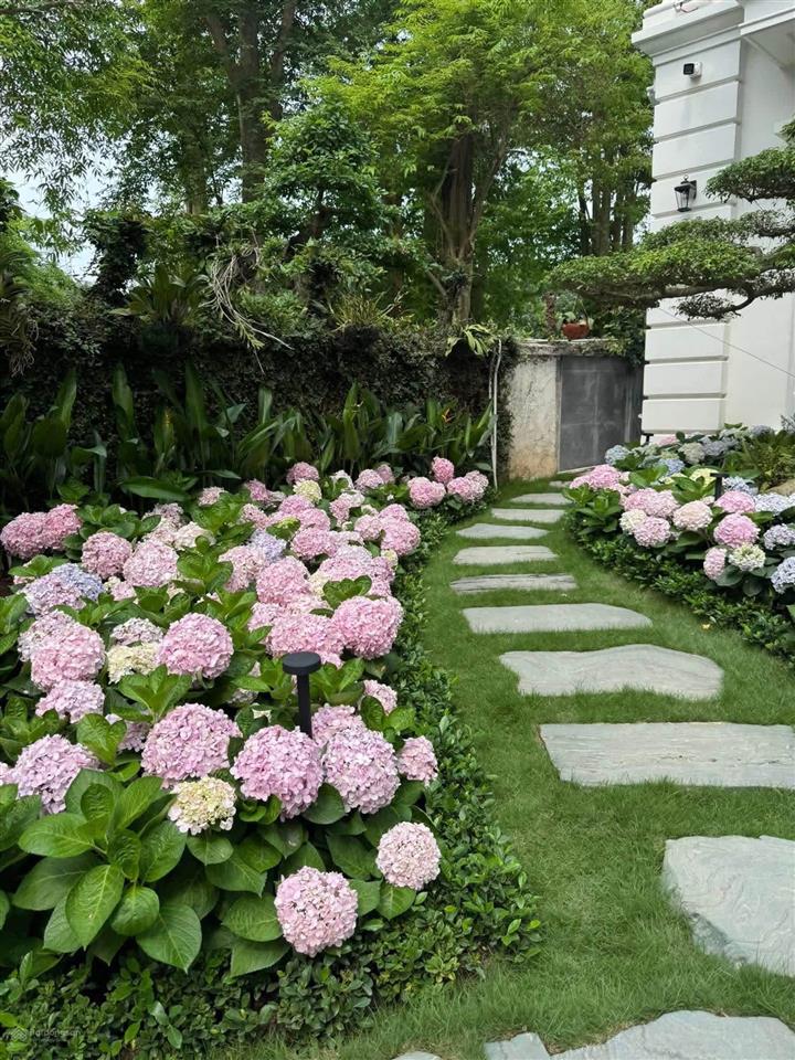 Cho thuê bt vinhomes riverside khu vip (nhà mới 100%) đơn lập 400m2  0981 839 ***
