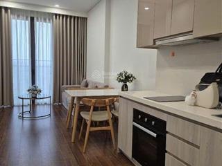 Siêu hot chính chủ bán 2pn  1vs  54.5m2, 3 tỷ 820 tr vinhomes smart city, chỉ bán trong tuần này