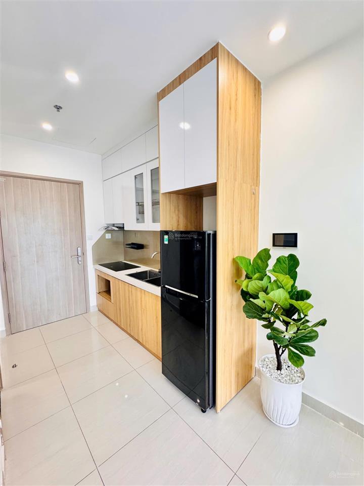 Bán nhanh căn studio the sapphire s301, giá 2 tỷ 030, dt 28m2, full nội thất, view thoáng
