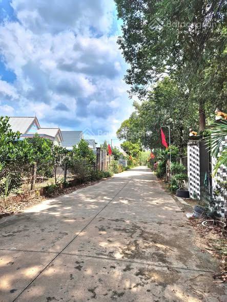 Cách chợ đồng phú 1,2km, 273m2 thổ cư, ngay cạnh tthc đồng phú