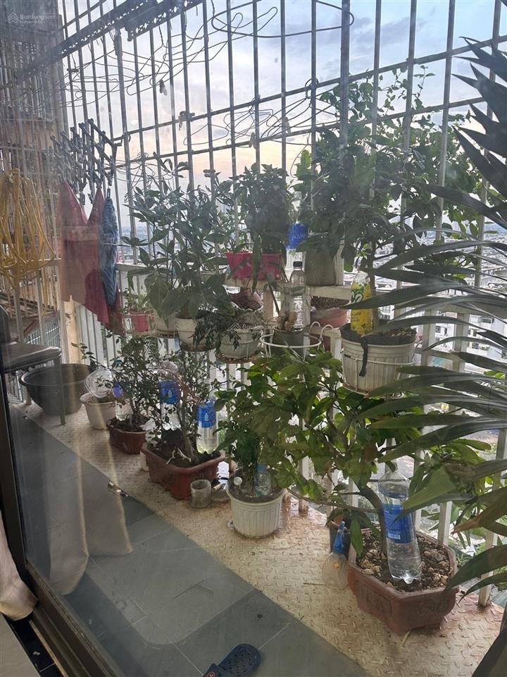 Chung cư tân mai 3 phòng ngủ, 2 wc full nội thất vào ở ngay sổ đỏ chính chủ