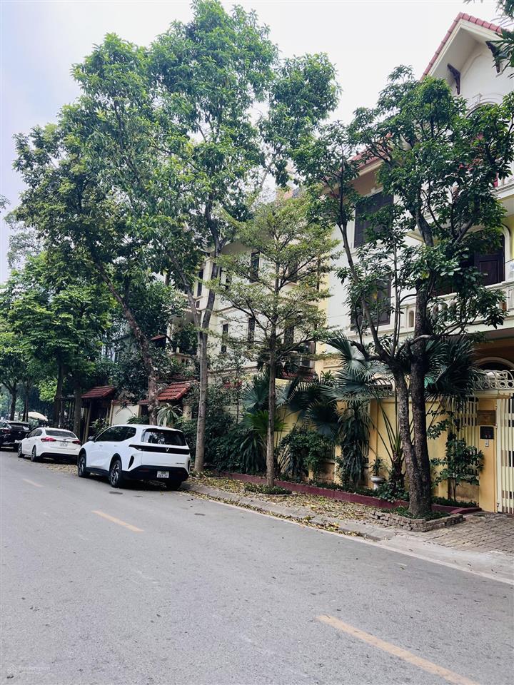 Cần bán biệt thự bt5 kđt bắc linh đàm dt 198m mặt đường trục chính sầm uất qua lại tiện vừa ở kd