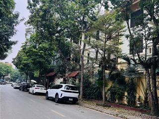 Siêu phẩm biệt thự đơn lập bắc linh đàm vị trí vàng, sống thượng lưu bt5 dt 198m