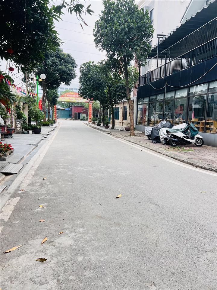 Biệt thự đơn lập tây nam linh đàm vị trí vàng, sống thượng lưu bt6 dt 200m