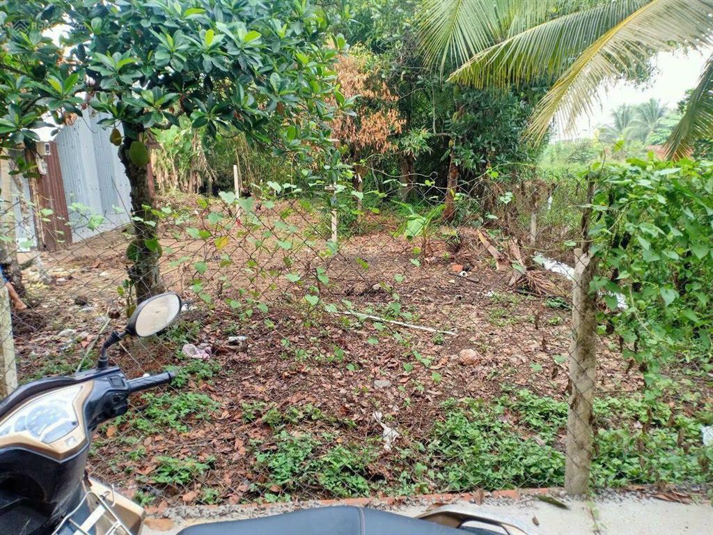 Chính chủ cần tiền bán gấp lô đất thổ cư đẹp ở nhị bình, hóc môn, 166m2, mt 6m