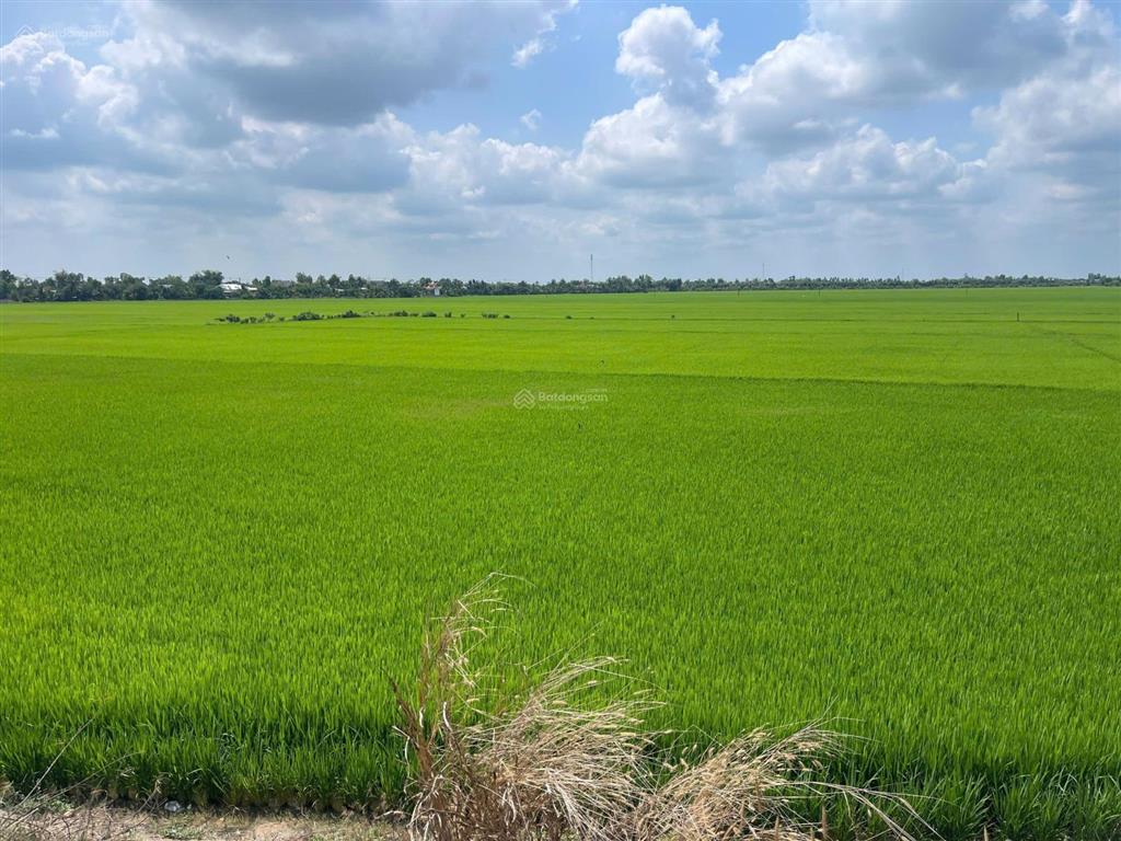 Hạ giá bán gấp 11788m2, mặt tiền quốc lộ n2, giá chỉ 8,5 tỷ