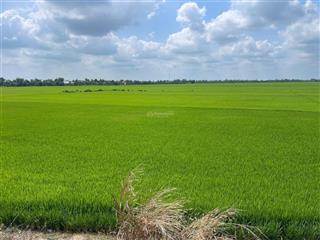 Hạ giá bán gấp 11788m2, mặt tiền quốc lộ n2, giá chỉ 8,5 tỉ