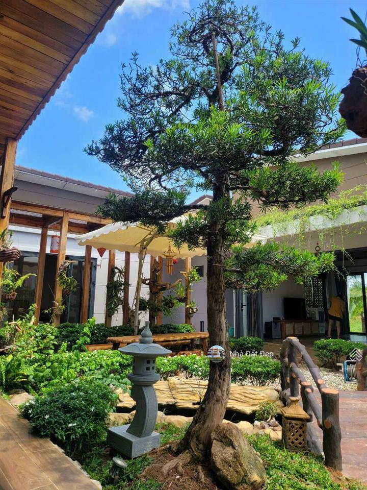 Cần bán thửa đất 500m2 sổ hồng riêng tại ấp đường bào, xã dương tơ gần biển giá đầu tư