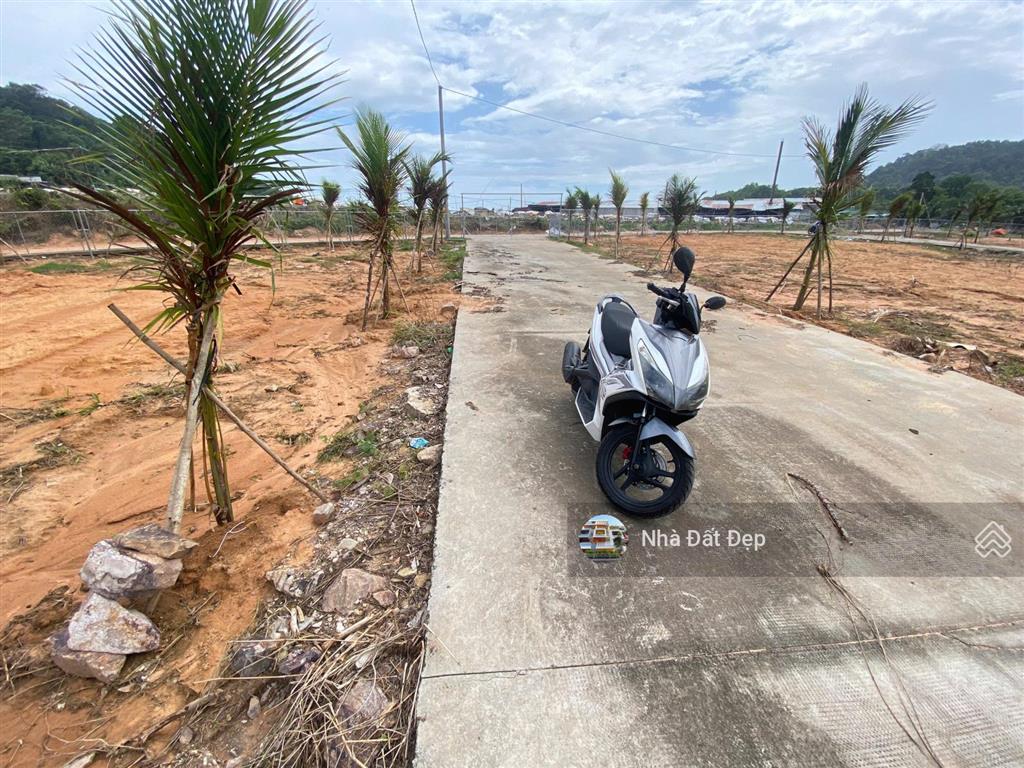 Cần bán thửa đất 500m2 sổ hồng riêng tại ấp đường bào, xã dương tơ gần biển giá đầu tư