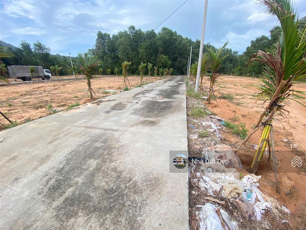 Cần bán thửa đất 500m2 sổ hồng riêng tại ấp đường bào, xã dương tơ gần biển giá đầu tư