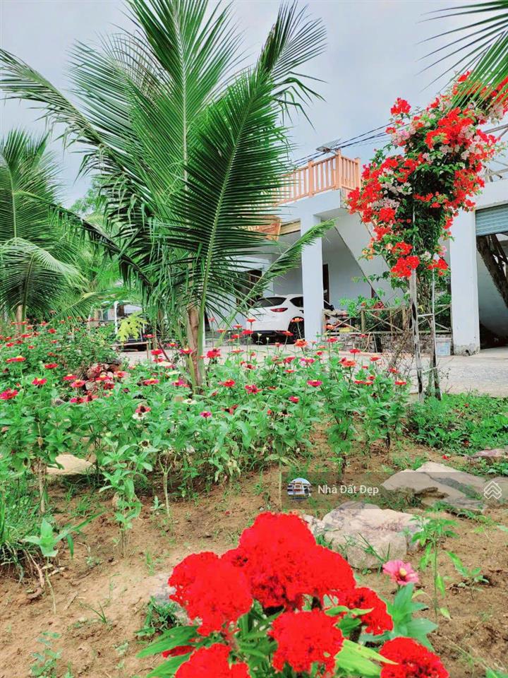 Cần bán thửa đất 500m2 sổ hồng riêng tại ấp đường bào, xã dương tơ gần biển giá đầu tư