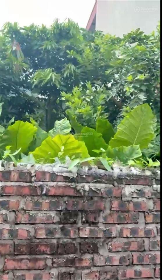 Đất đẹp đồng hòa giá mềm, vị trí vàng, cơ hội đầu tư hiếm có! kiến an  hải phòng