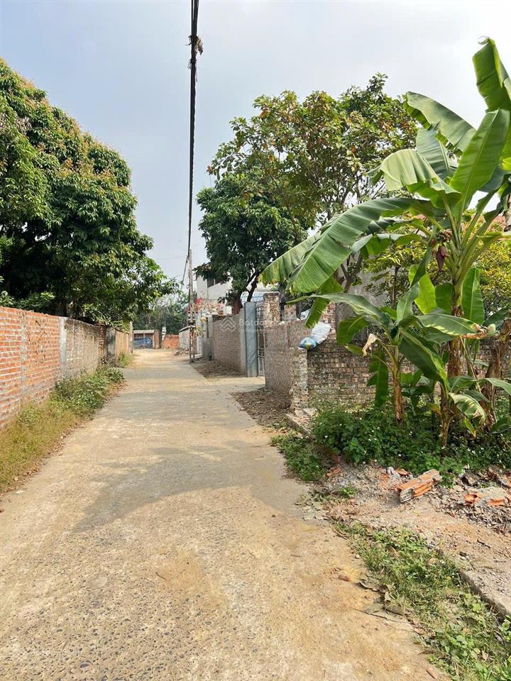 Bán nhanh trong tuần lô đất đẹp 60m2 lập trí minh trí sóc sơn hà nội