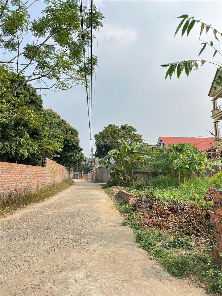 Bán nhanh trong tuần lô đất đẹp 60m2 lập trí minh trí sóc sơn hà nội